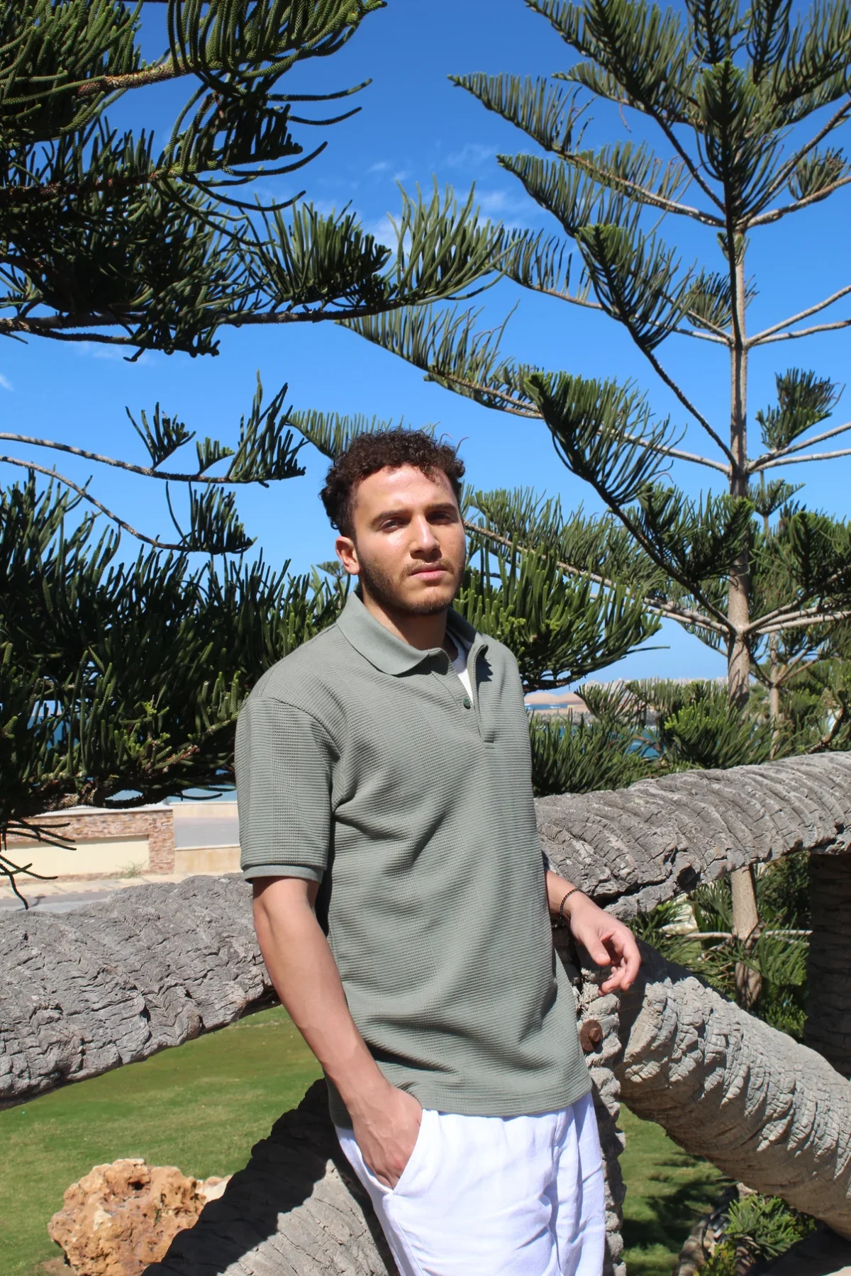 Textured Jacquard Polo T-shirt - Image 5